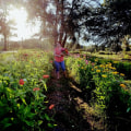 The Thriving Agricultural Industry in Charleston, SC
