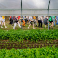 The Impact of Agricultural Programs on Sustainable Farming in Charleston, SC