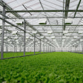 The Impact of Agriculture on the Environment in Charleston, SC