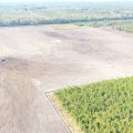 Unleashing the Potential: The Impact of Agricultural Programs in Charleston, SC