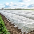 The Resilience of Agricultural Programs in Charleston, SC