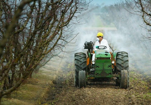 The Thriving Agricultural Programs in Charleston, SC