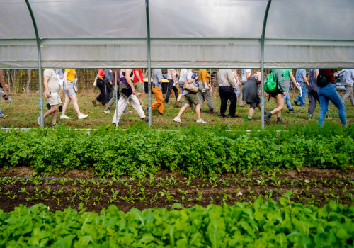 The Impact of Agricultural Programs on Sustainable Farming in Charleston, SC