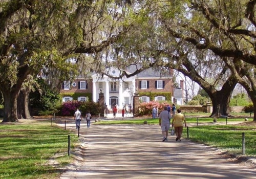 The Enduring Legacy of Agriculture in Charleston, SC