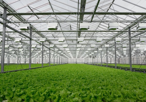 The Impact of Agriculture on the Environment in Charleston, SC