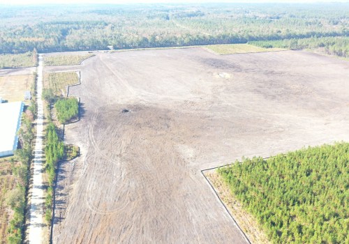 Unleashing the Potential: The Impact of Agricultural Programs in Charleston, SC