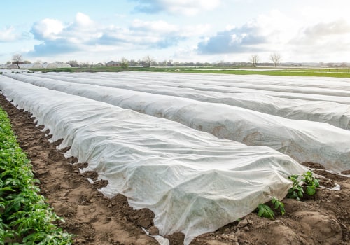 The Resilience of Agricultural Programs in Charleston, SC